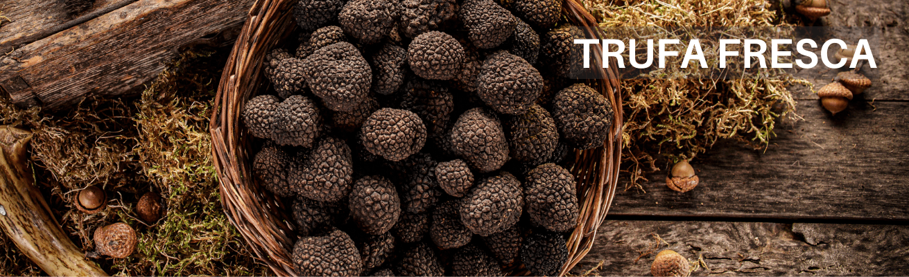 Trufa negra de Teruel